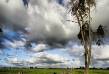 欧预赛：法国队惊险逆转击败对手，晋级前景大好