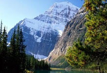 牢记团队精神，击溃对手争取胜利！