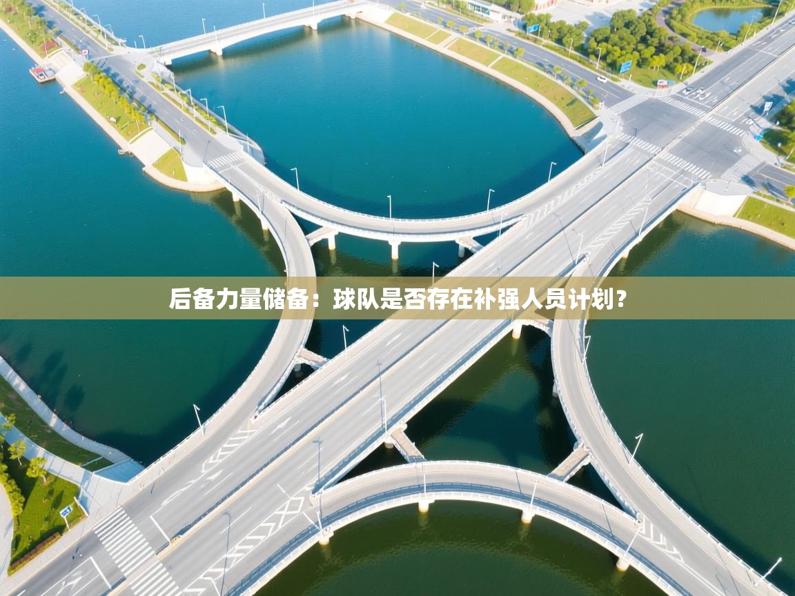 后备力量储备：球队是否存在补强人员计划？  第1张