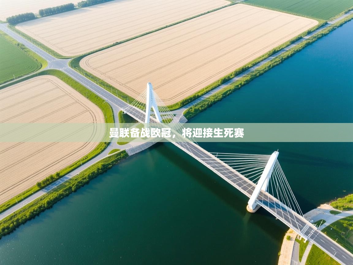 曼联备战欧冠,将迎接生死赛 第1张