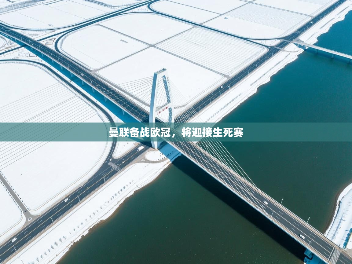 曼联备战欧冠,将迎接生死赛 第2张