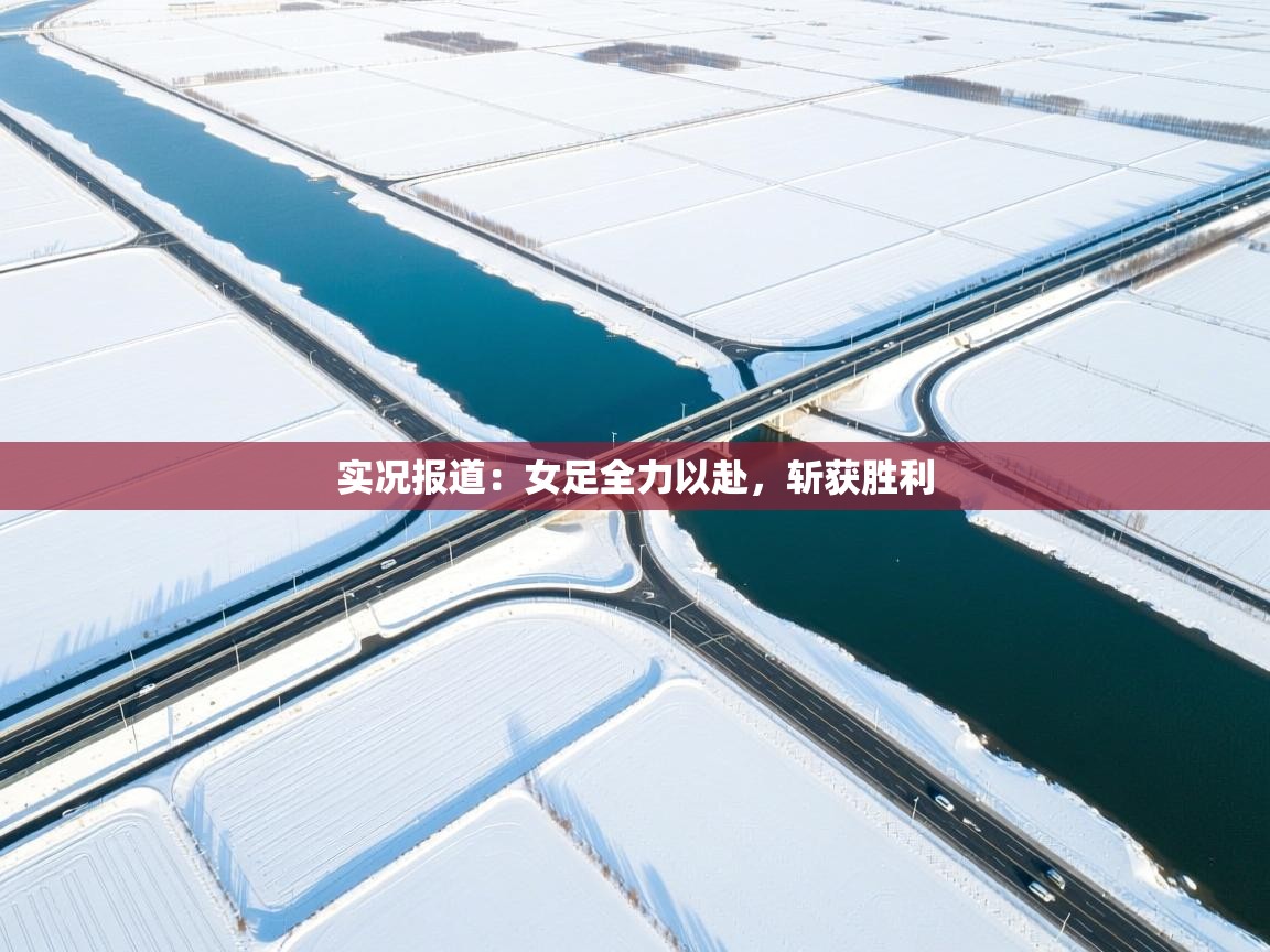 实况报道：女足全力以赴，斩获胜利  第1张