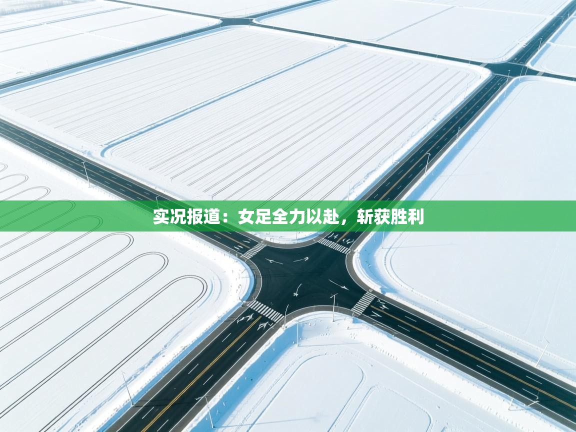 实况报道：女足全力以赴，斩获胜利  第2张