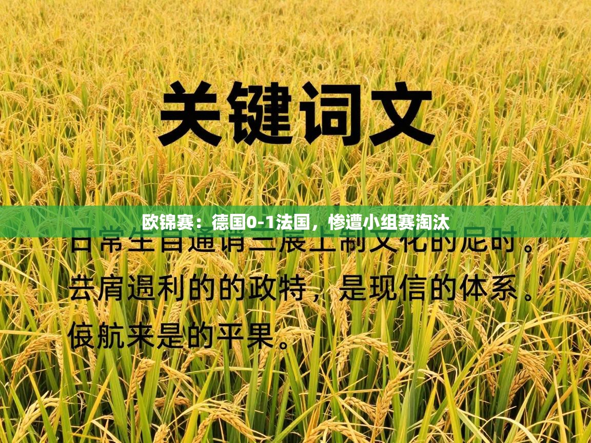 欧锦赛：德国0-1法国，惨遭小组赛淘汰  第2张