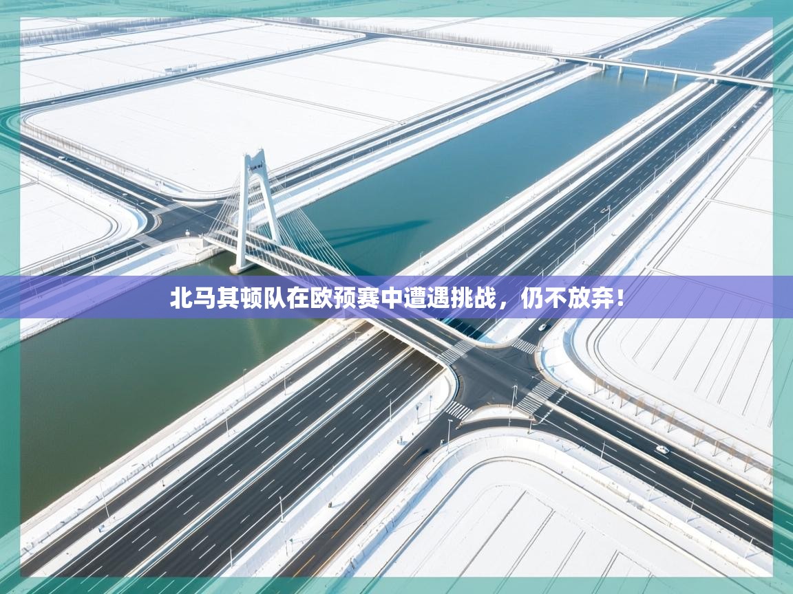 北马其顿队在欧预赛中遭遇挑战，仍不放弃！